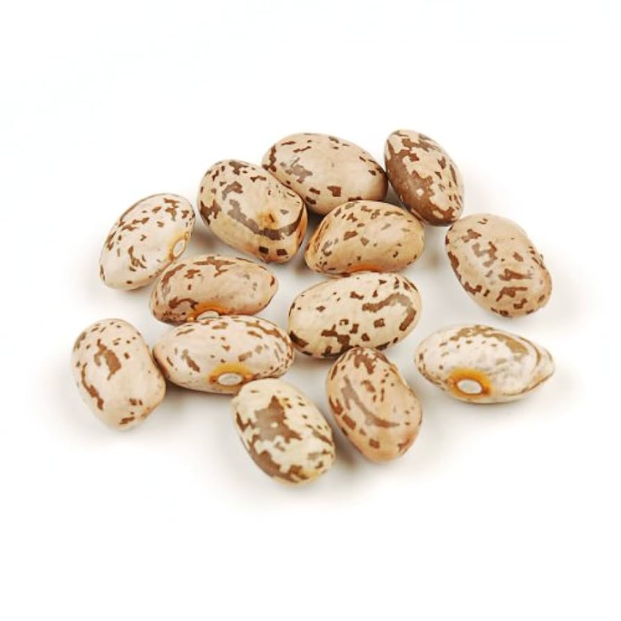 Canadian Pinto Beans Bulk Bag - SAN JOSE PRODUCE & IMPORTS LLC