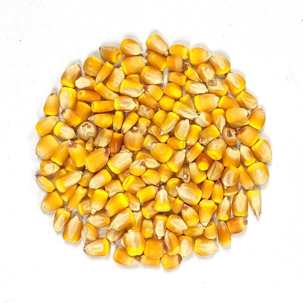 Mexican Yellow Corn Bulk Bag