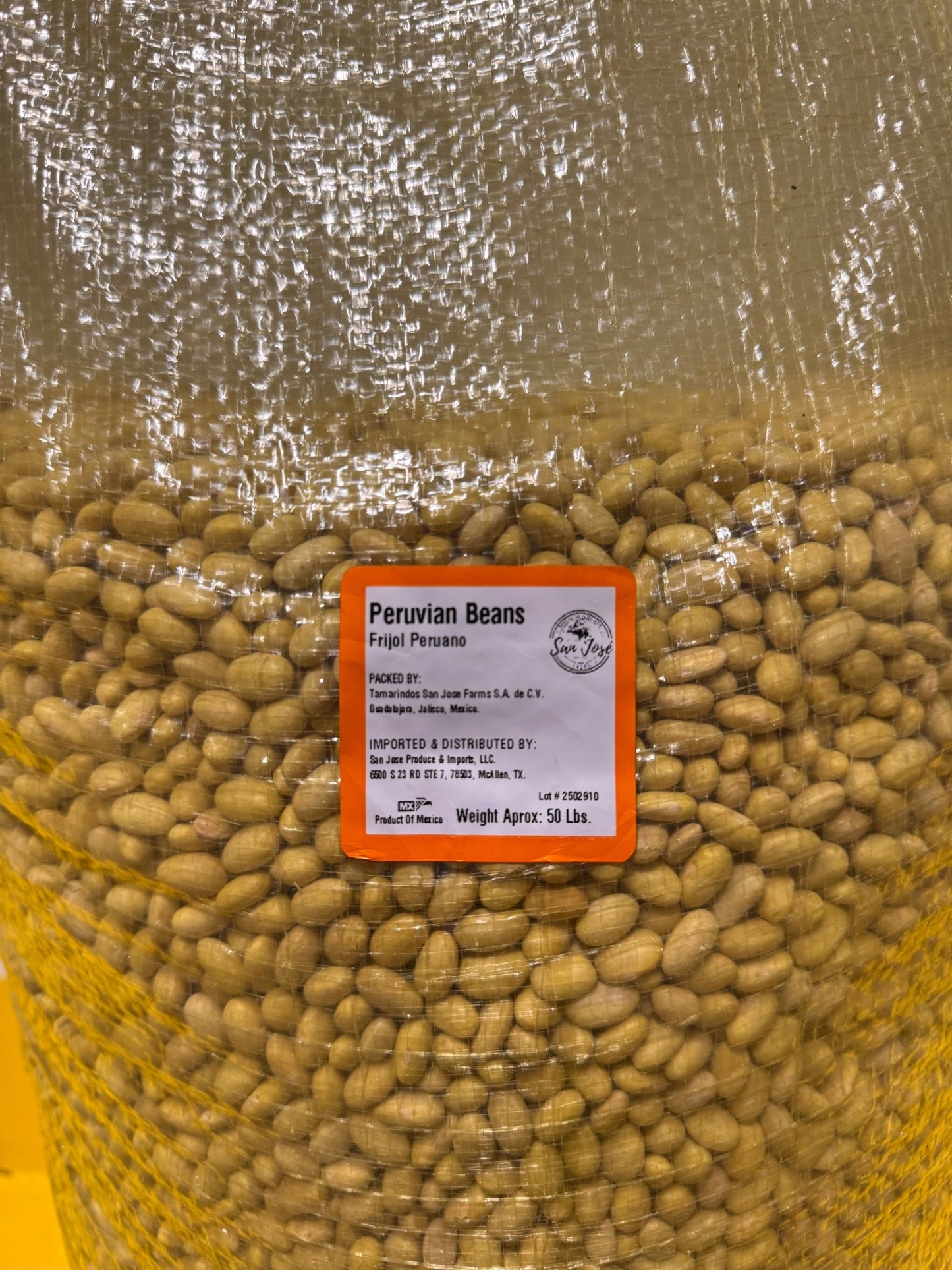 Peruvian Mayocoba Beans Bulk Bag - SAN JOSE PRODUCE & IMPORTS LLC