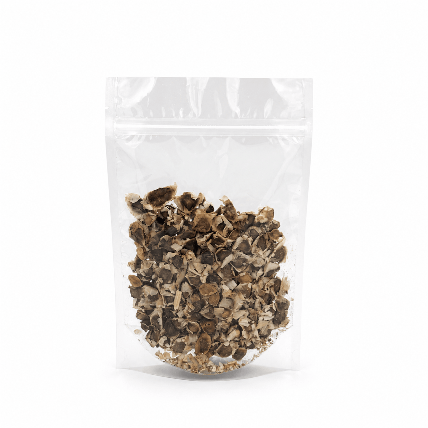 Moringa Seeds 11 Lb Bulk Bag | Semilla de Moringa Superfood for Planting & Wellness - SAN JOSE PRODUCE & IMPORTS LLC