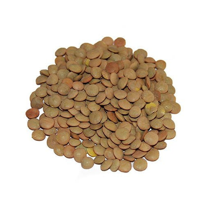 Lentils Bulk Bag - SAN JOSE PRODUCE & IMPORTS LLC