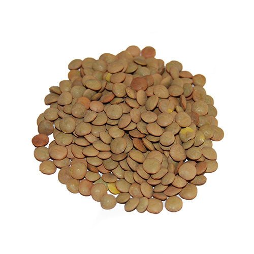 Lentils Bulk Bag - SAN JOSE PRODUCE & IMPORTS LLC