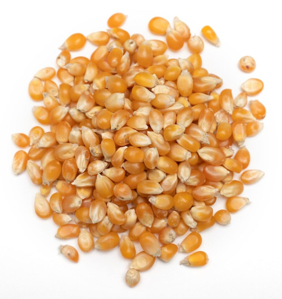 Pop Corn 50 Lb Bulk Bag