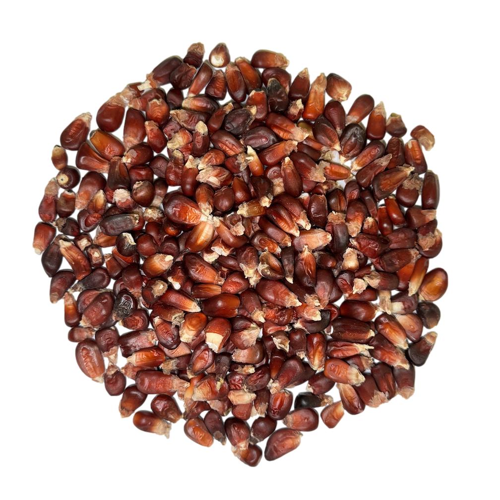 Mexican Red Corn Bulk Bag