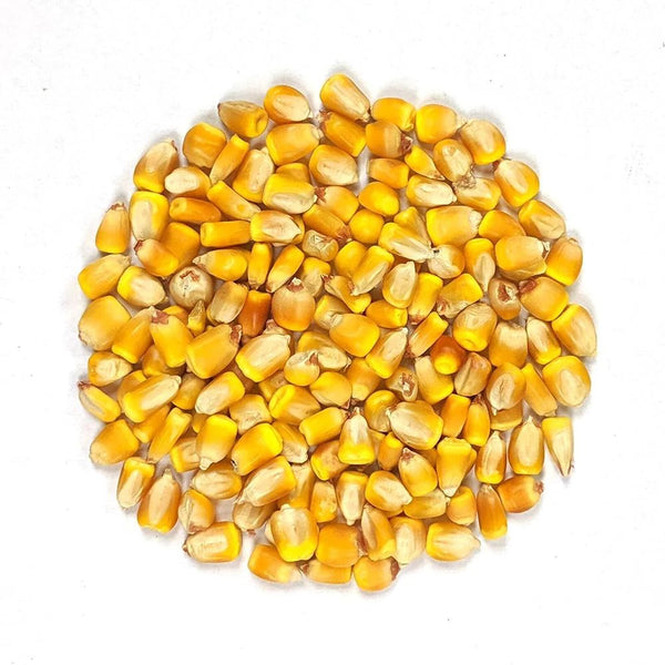 Mexican Yellow Corn Wholesale | Maíz Amarillo Lb | McAllen TX