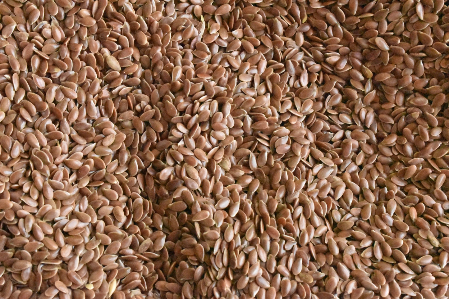 Flax Seeds Bulk Bag - SAN JOSE PRODUCE & IMPORTS LLC