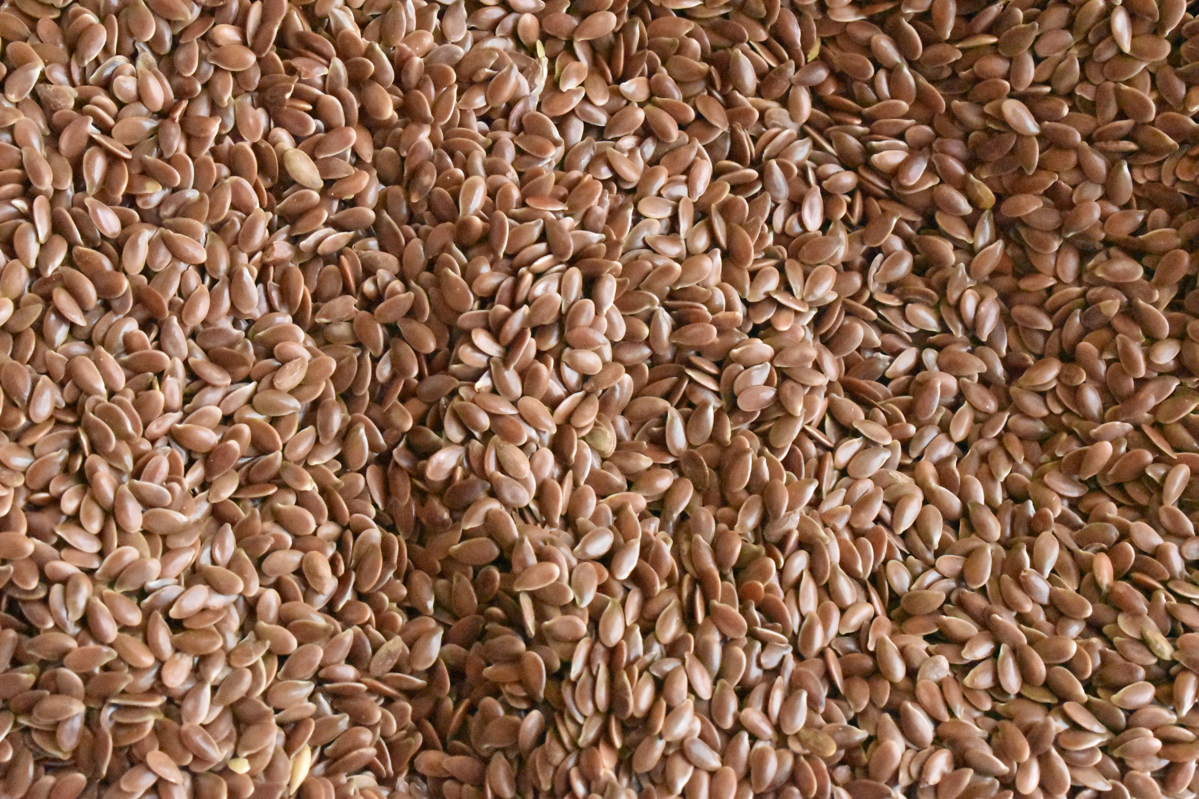 Flax Seeds Bulk Bag