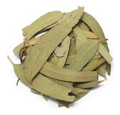 Dried Eucalyptus Leaves Bulk Bag - SAN JOSE PRODUCE & IMPORTS LLC