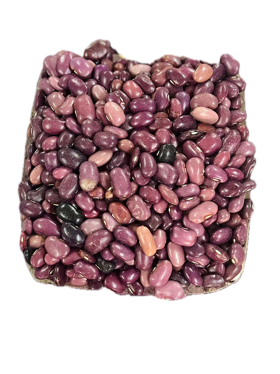 Pinto Ayocote Beans Bulk Bag