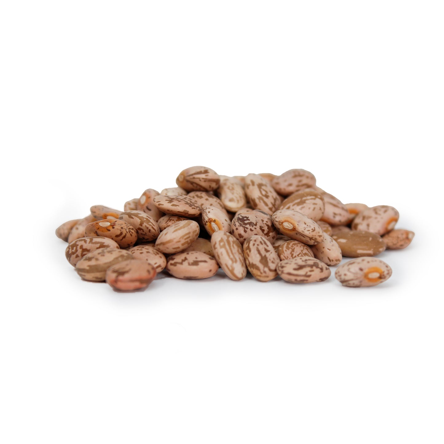 Mexican Pinto Beans Bulk Bag - SAN JOSE PRODUCE & IMPORTS LLC