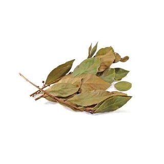 Dried Avocado Leaves Bulk Bag - SAN JOSE PRODUCE & IMPORTS LLC