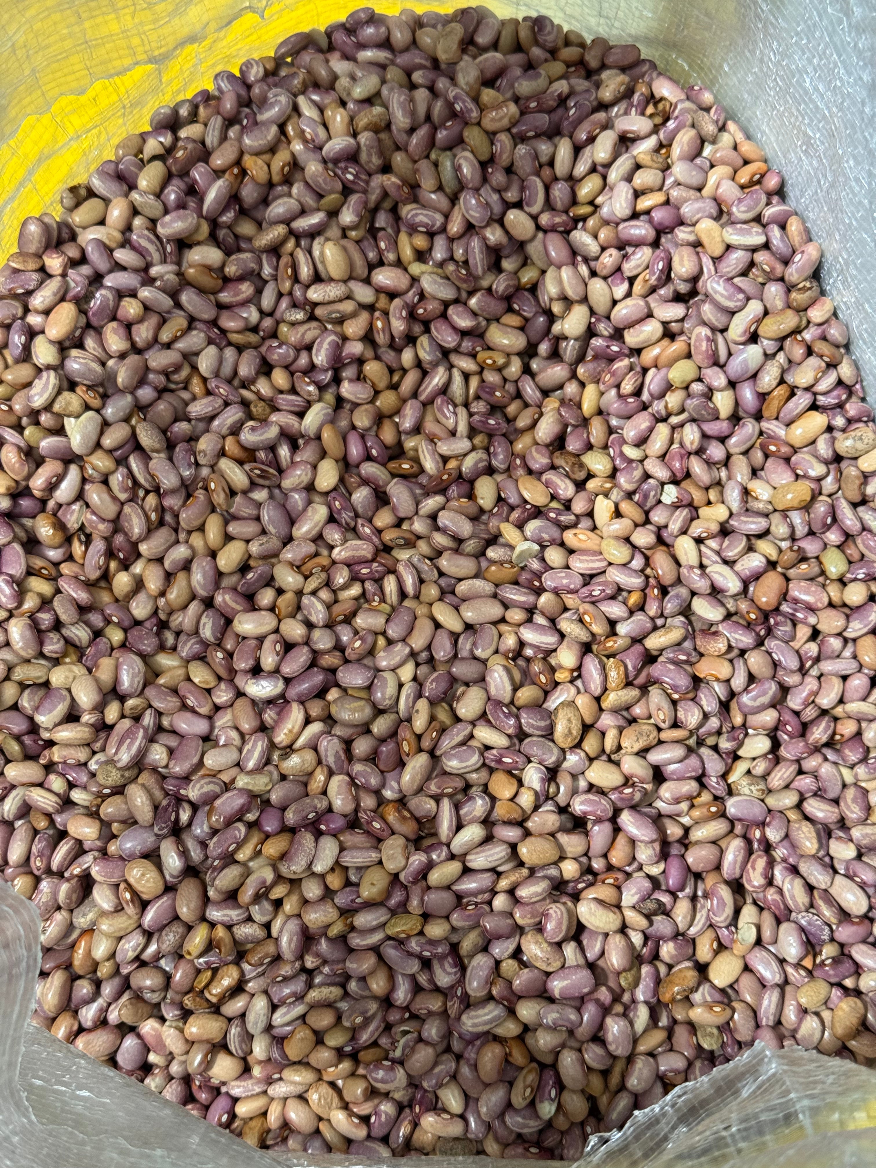 Flor de Junio Beans Bulk Bag