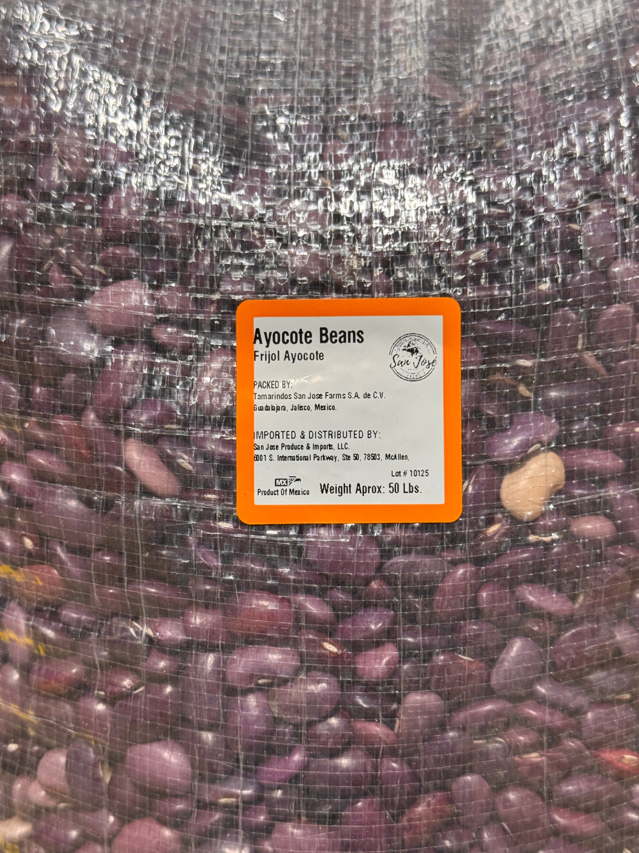 Purple Ayocote Beans 50 Lb Bulk Bag | Heirloom Runner Beans for Stews & Salads
