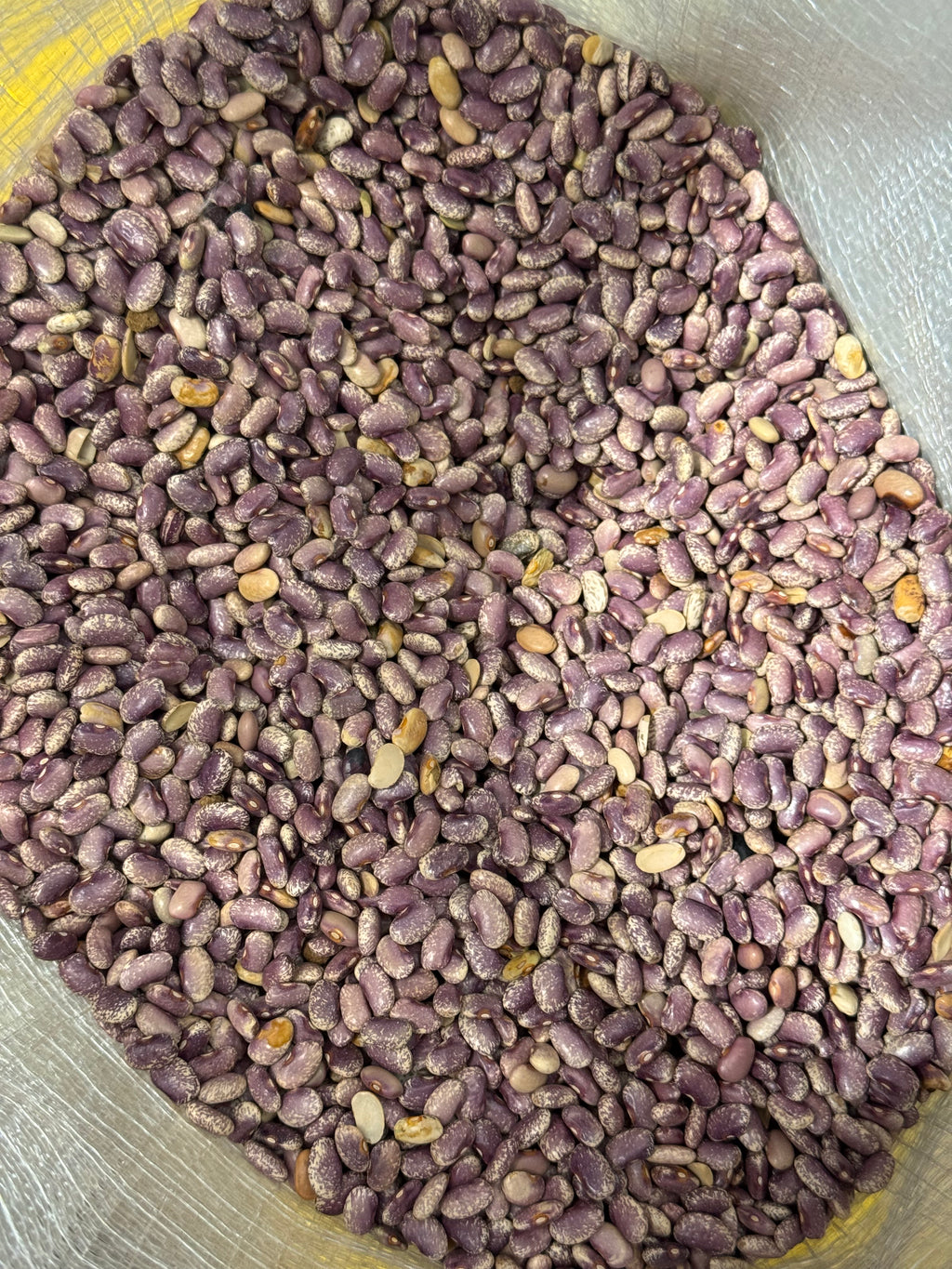Flor de Mayo Beans 50 Lb Bulk Bag