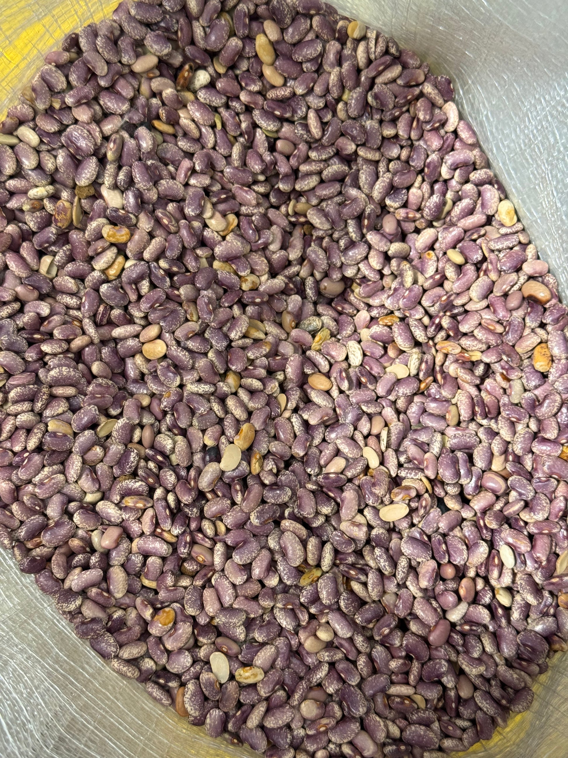 Flor de Mayo Beans 50 Lb Bulk Bag