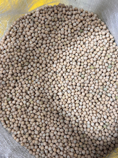 Alverjon Seed Bulk Bag