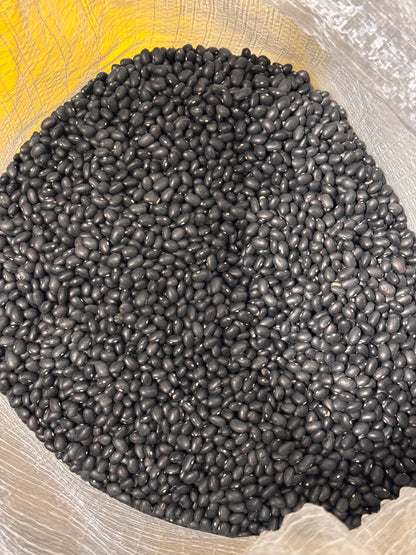 Frijol Negro