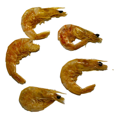 Camarón Seco Mexicano Mediano | Medium Dried Shrimp - SAN JOSE PRODUCE & IMPORTS LLC