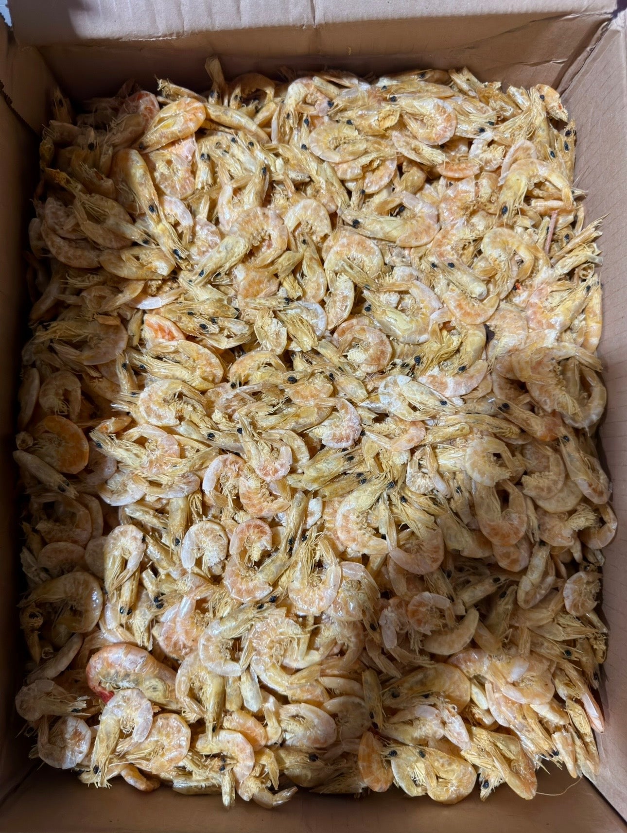 Camarón Seco Mexicano Mediano | Medium Dried Shrimp - SAN JOSE PRODUCE & IMPORTS LLC