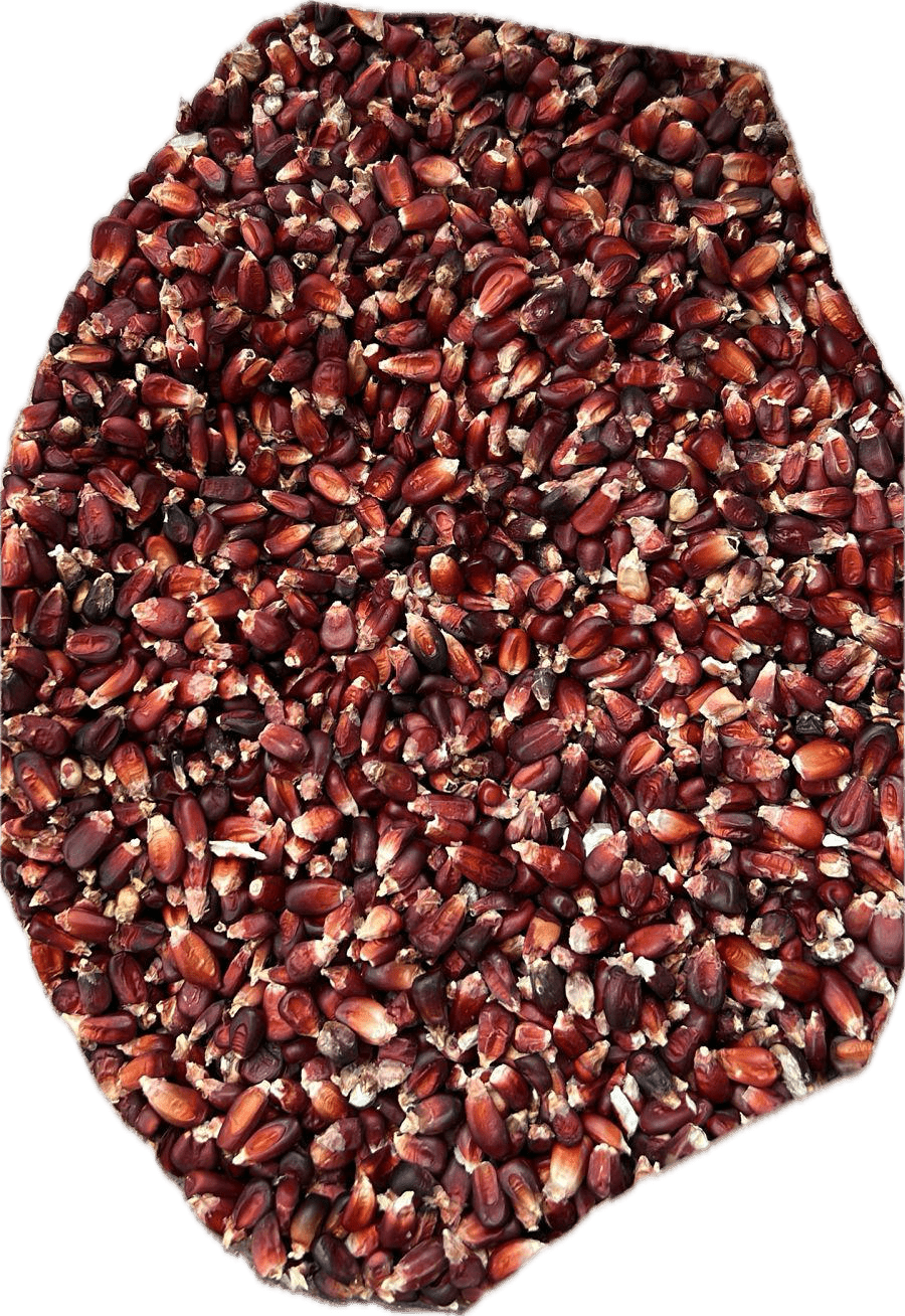 Bulk Red Corn — Maíz Rojo for Red Tortillas (5–20 lb) – SAN JOSE ...