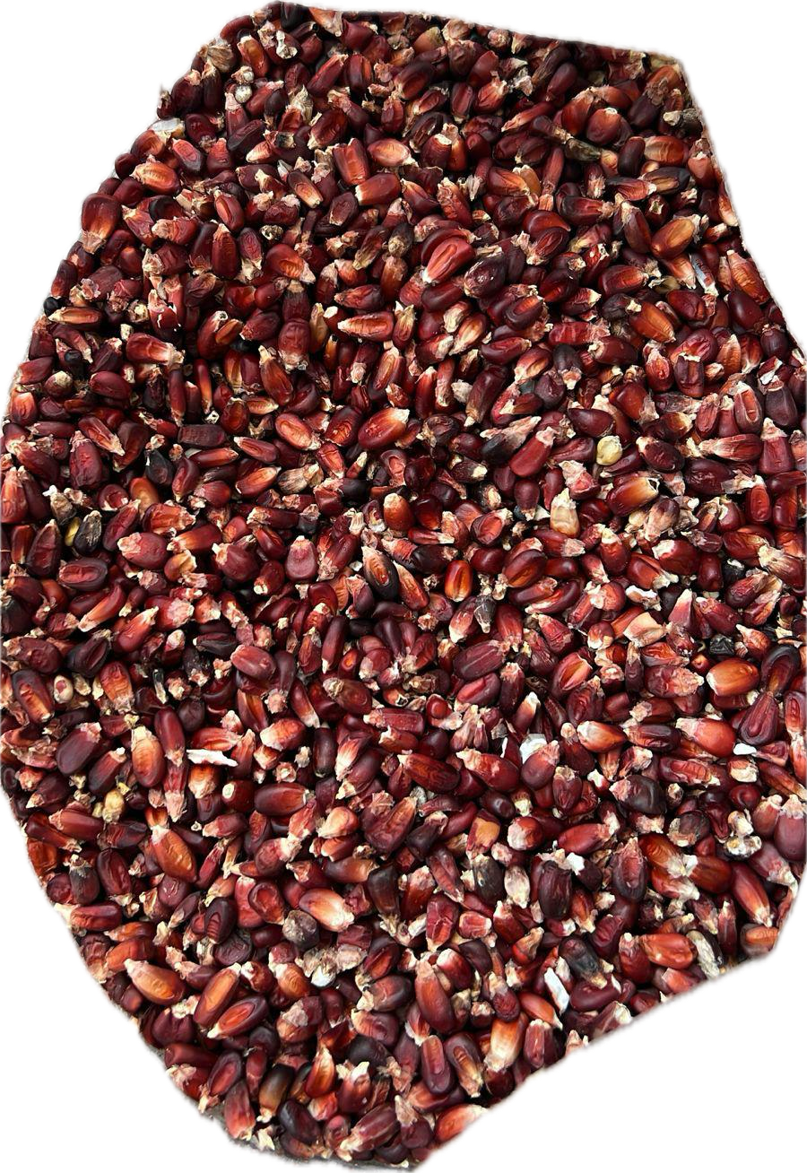 Mexican Red Corn Bulk Bag
