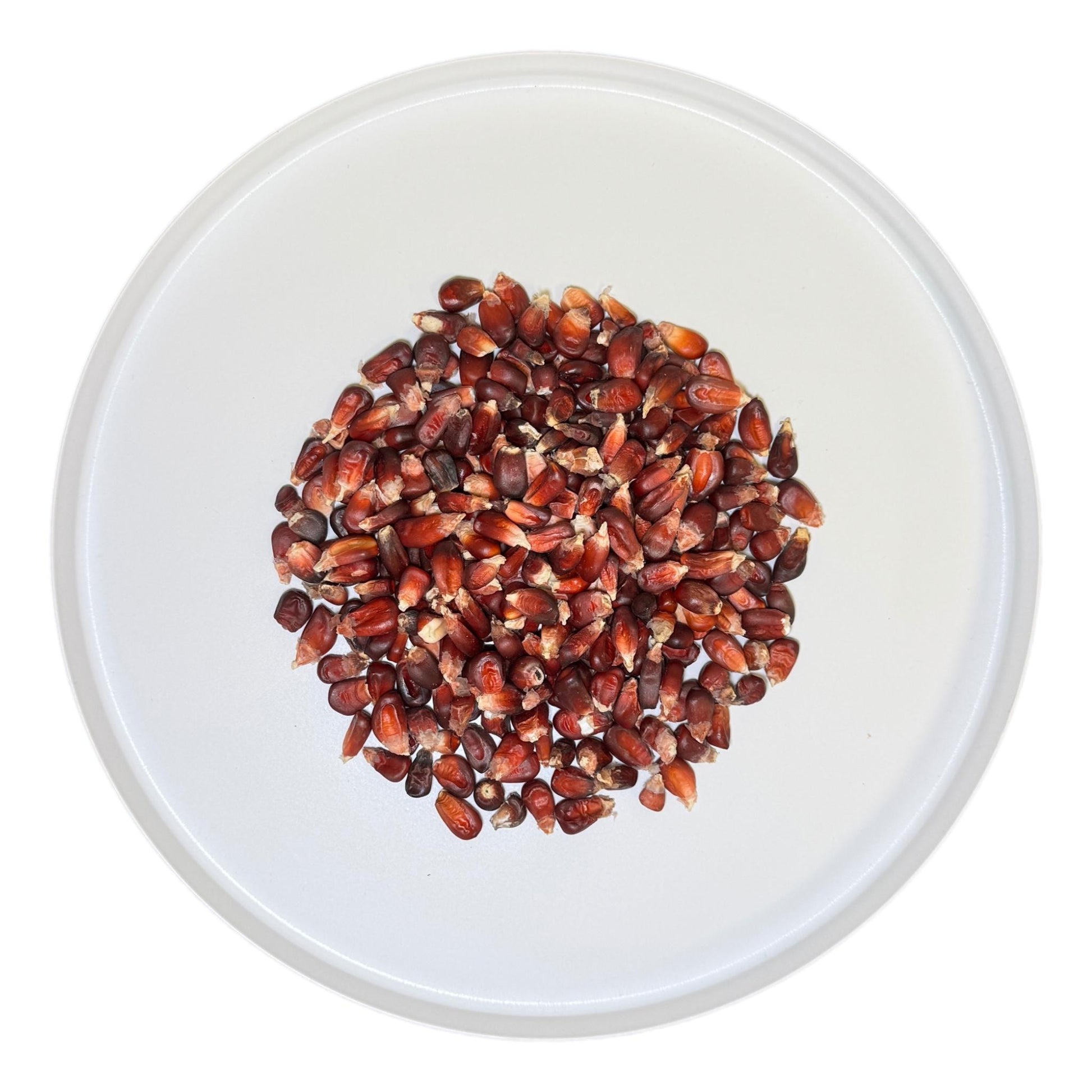 Mexican Red Corn Bulk Bag - SAN JOSE PRODUCE & IMPORTS LLC