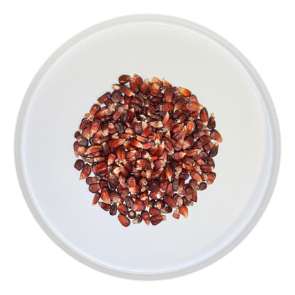 Mexican Red Corn Bulk Bag - SAN JOSE PRODUCE & IMPORTS LLC