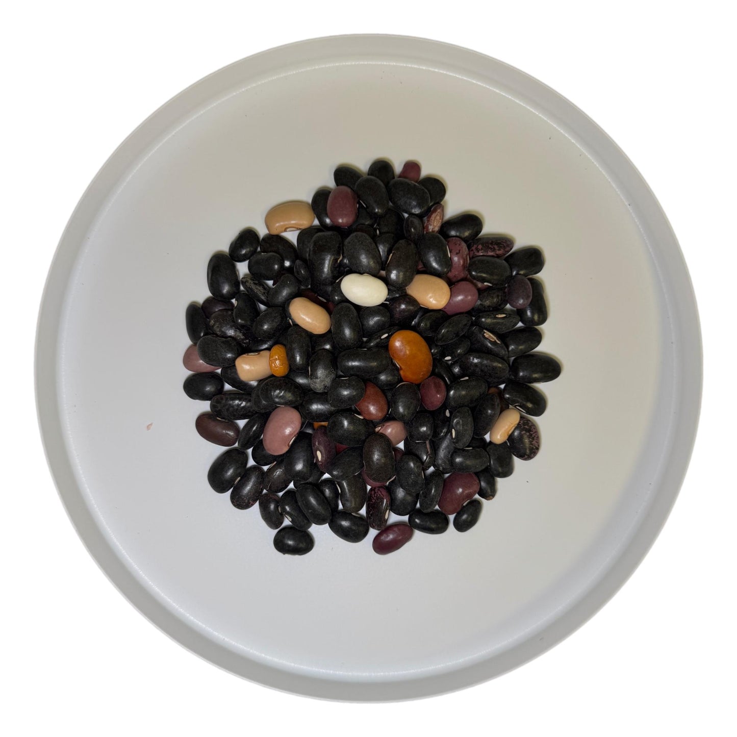 Pinto Ayocote Beans Wholesale - SAN JOSE PRODUCE & IMPORTS LLC