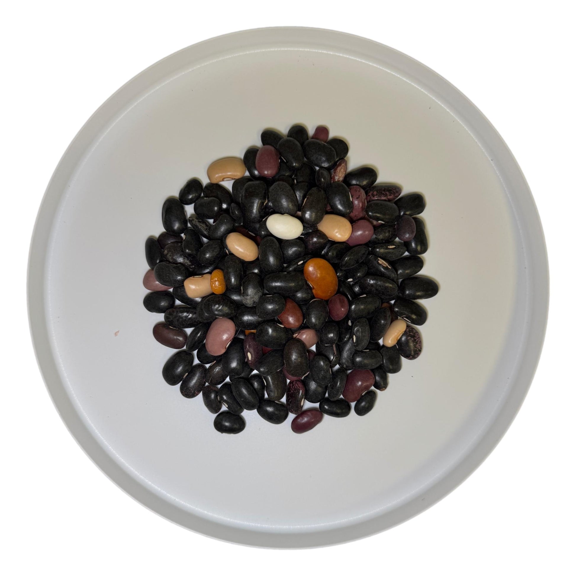 Pinto Ayocote Beans Wholesale - SAN JOSE PRODUCE & IMPORTS LLC