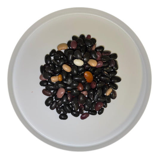 Pinto Ayocote Beans Wholesale - SAN JOSE PRODUCE & IMPORTS LLC