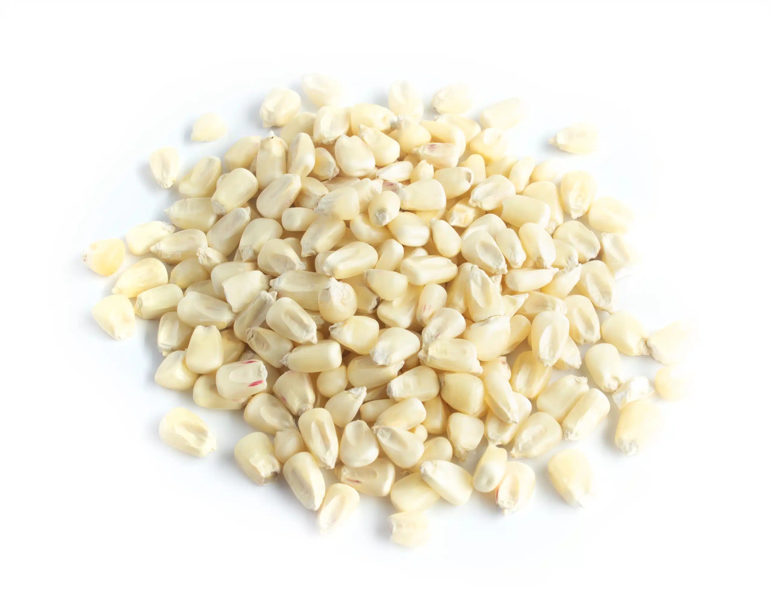 Grains, Seeds & Cereals