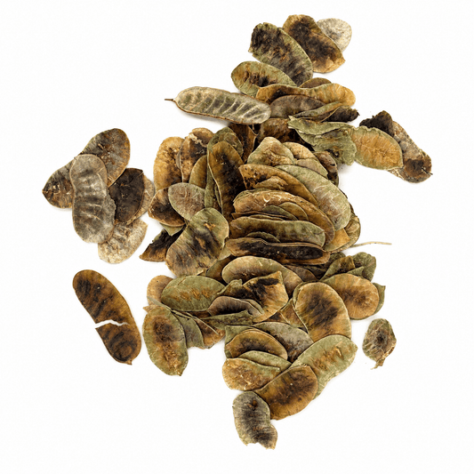 Senna Pods (Folículos de Sen) 11 Lb Bulk Bag | Dried Sen for Traditional Infusions - SAN JOSE PRODUCE & IMPORTS LLC
