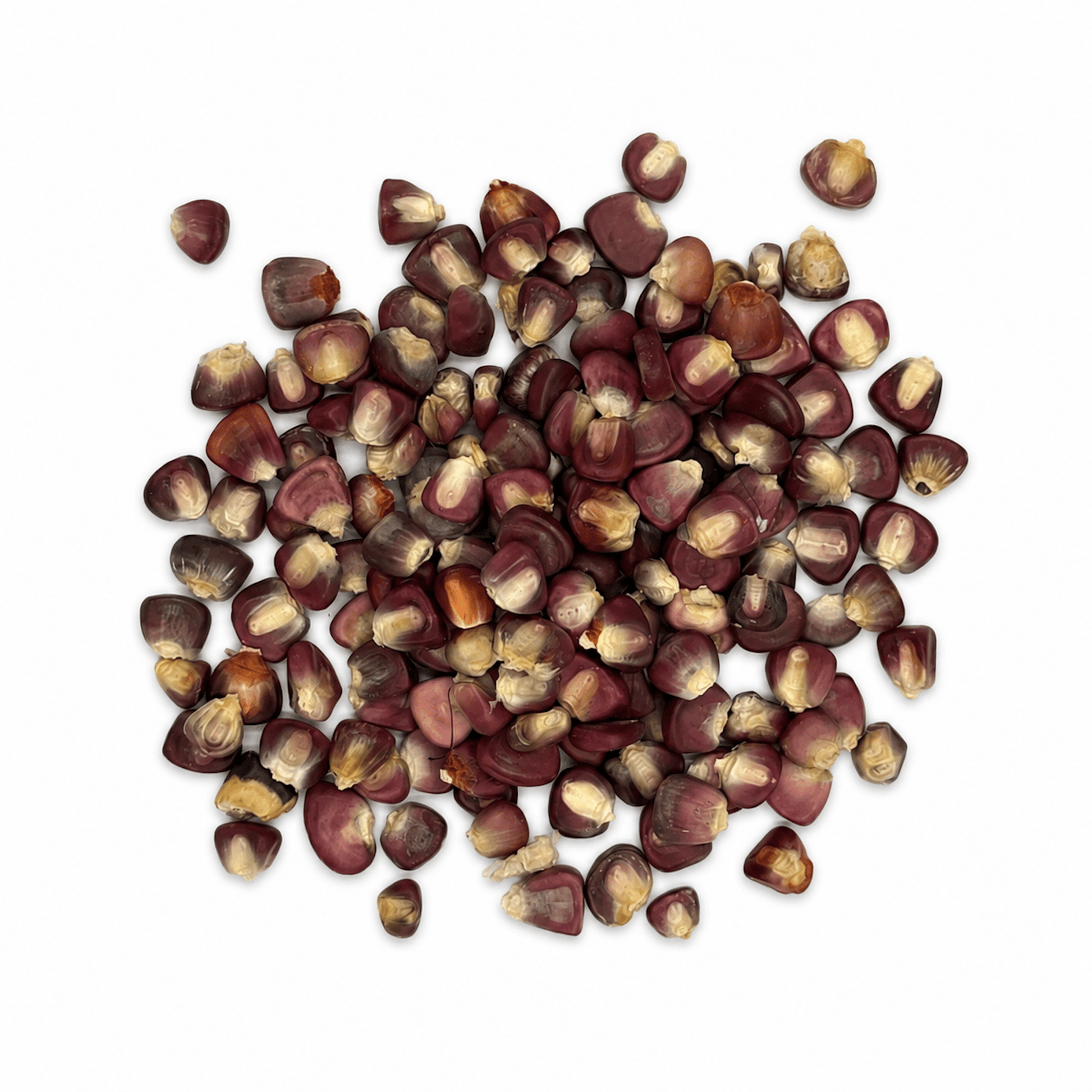 Purple Hominy Corn 50 Lb Bulk Bag | Maíz Pozolero Morado for Pozole - SAN JOSE PRODUCE & IMPORTS LLC