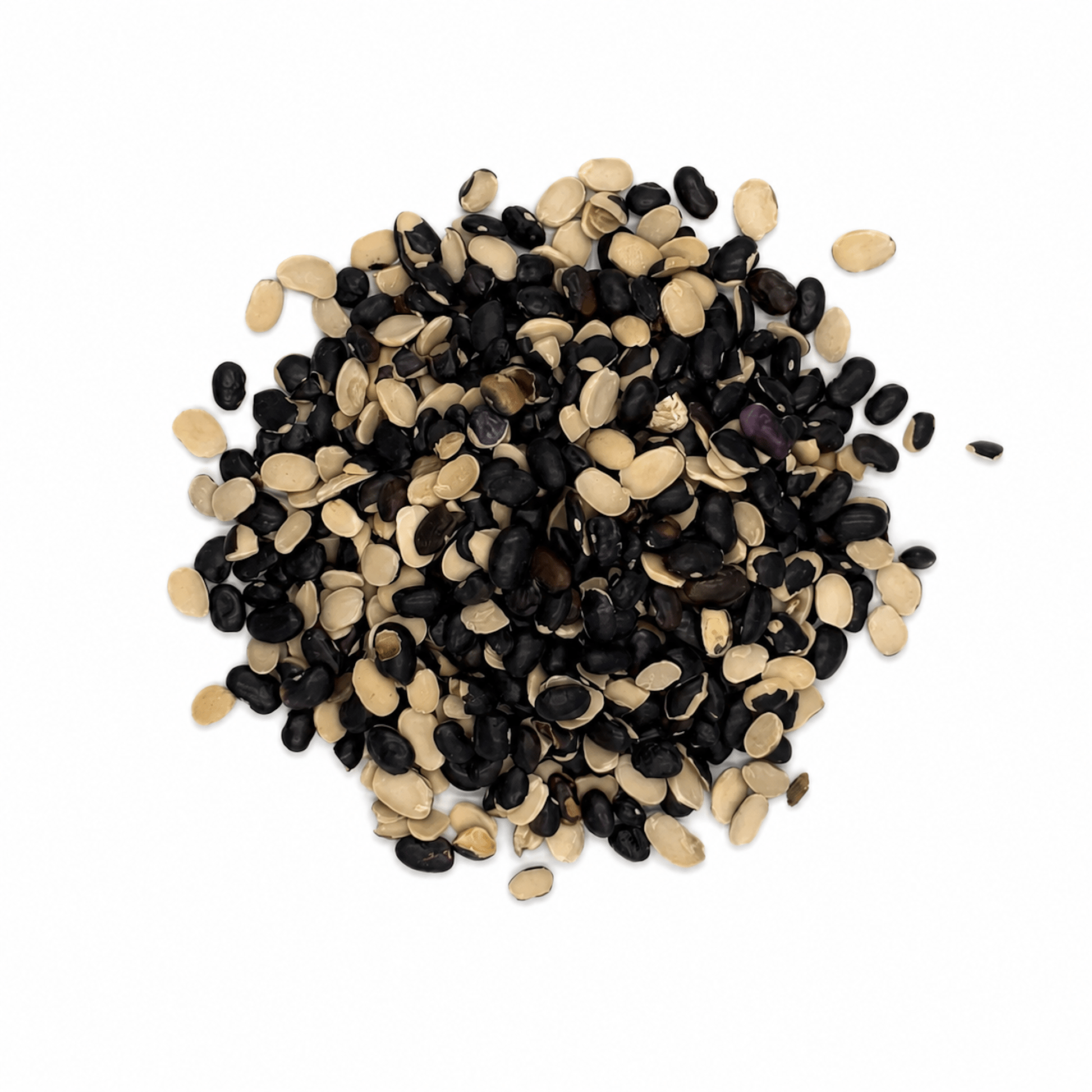 Split Black Beans 50 Lb Bulk Bag | Frijol Negro Partido for Soups & Refritos - SAN JOSE PRODUCE & IMPORTS LLC