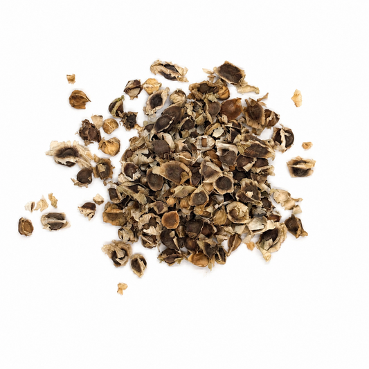 Moringa Seeds 11 Lb Bulk Bag | Semilla de Moringa Superfood for Planting & Wellness