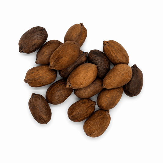 Paper-Shell Pecans (In-Shell) 44 Lb Bulk Bag | Nuez Pecana Cáscara de Papel - SAN JOSE PRODUCE & IMPORTS LLC
