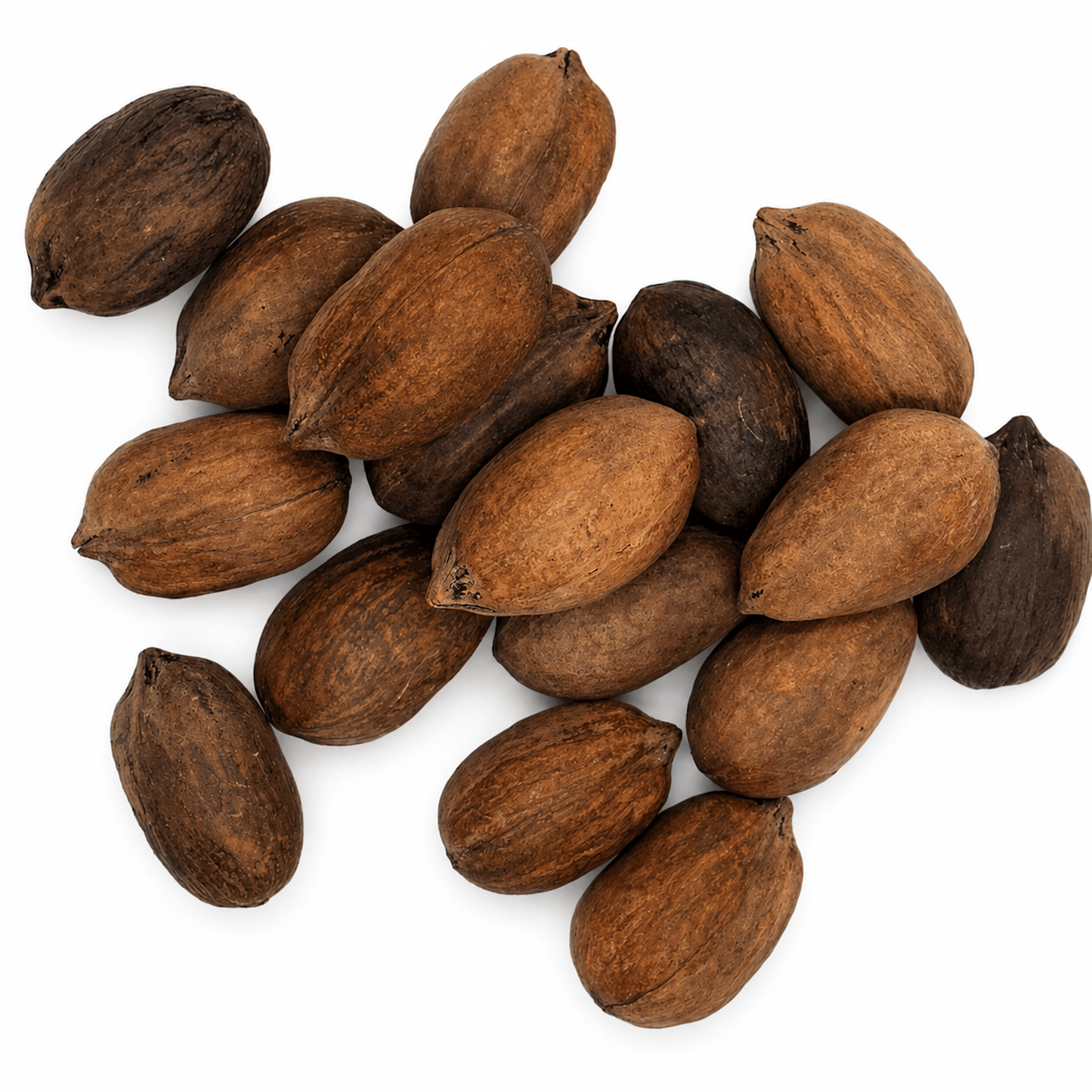Paper-Shell Pecans (In-Shell) 44 Lb Bulk Bag | Nuez Pecana Cáscara de Papel