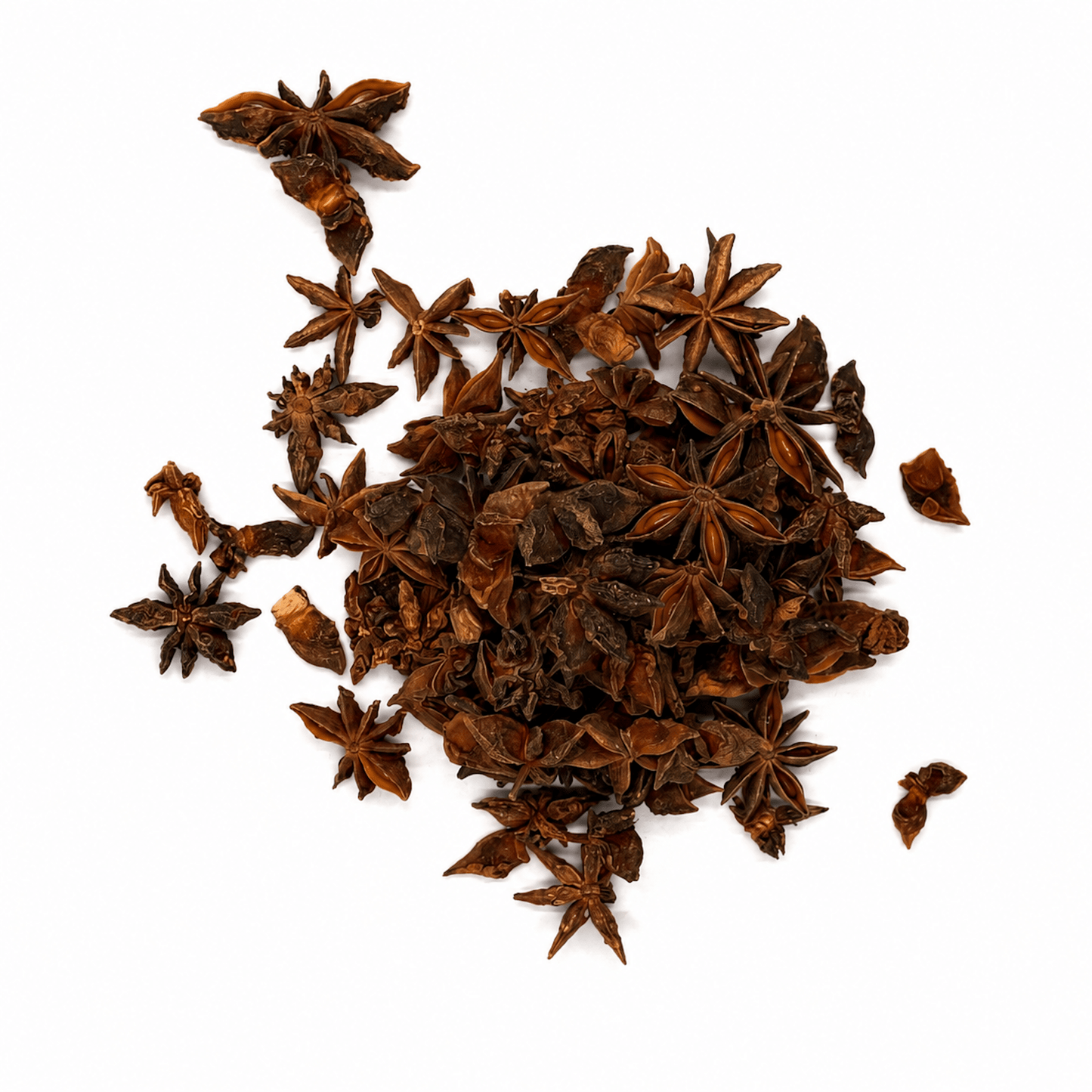 Star Anise (Anís Estrella) 11 Lb Bulk Bag | Whole Star Anise for Cooking, Baking & Tea - SAN JOSE PRODUCE & IMPORTS LLC