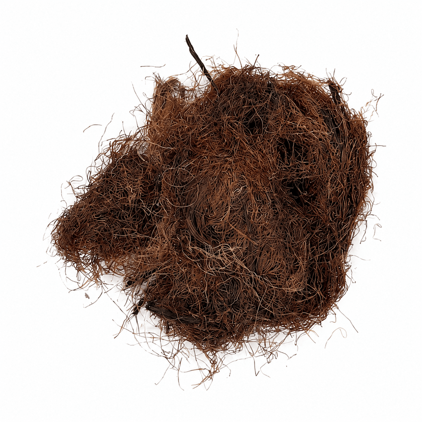 Corn Silk (Pelo de Elote) 11 Lb Bulk Bag | Dried Corn Silk for Traditional Infusions - SAN JOSE PRODUCE & IMPORTS LLC