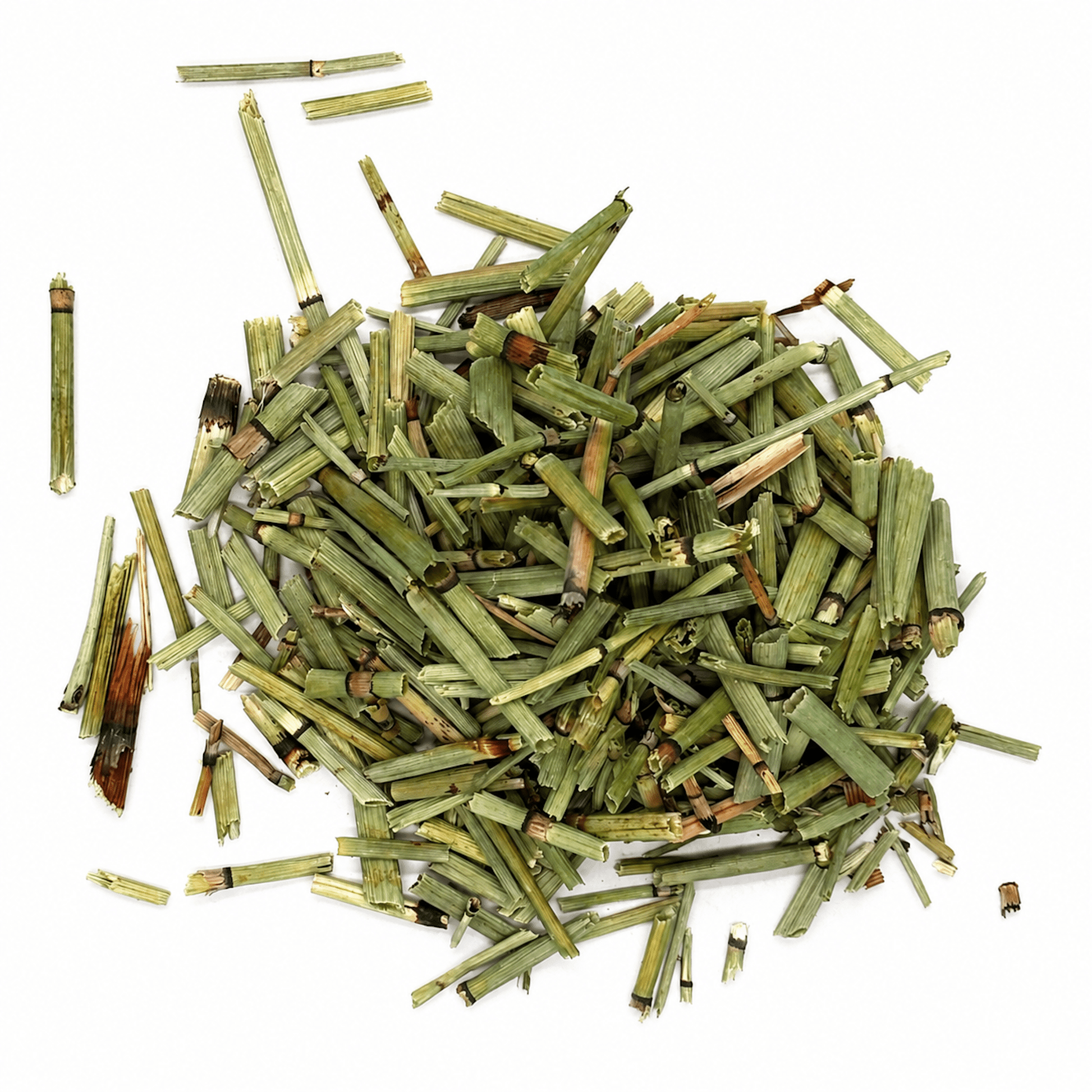 Horsetail Herb (Cola de Caballo) 11 Lb Bulk Bag | Dried Cola de Caballo for Infusions - SAN JOSE PRODUCE & IMPORTS LLC