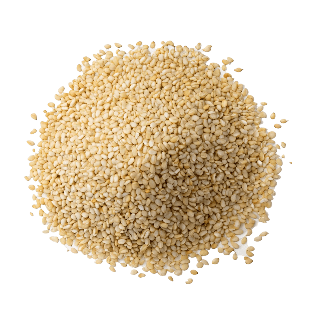 Sesame Seeds (Ajonjolí) – Premium Quality - SAN JOSE PRODUCE & IMPORTS LLC