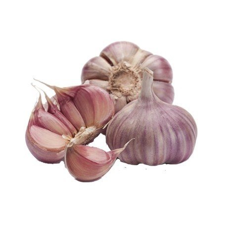 🧄 FRESH GARLIC 7 – STRONG AROMA, BIG FLAVOR! - SAN JOSE PRODUCE & IMPORTS LLC