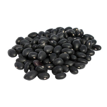 Frijol Negro