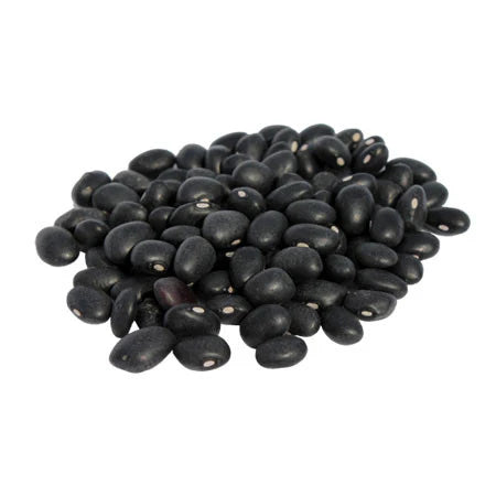 Frijol Negro