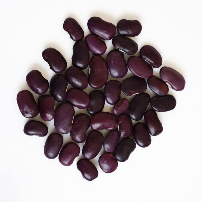 Purple Ayocote Beans Bulk Bag