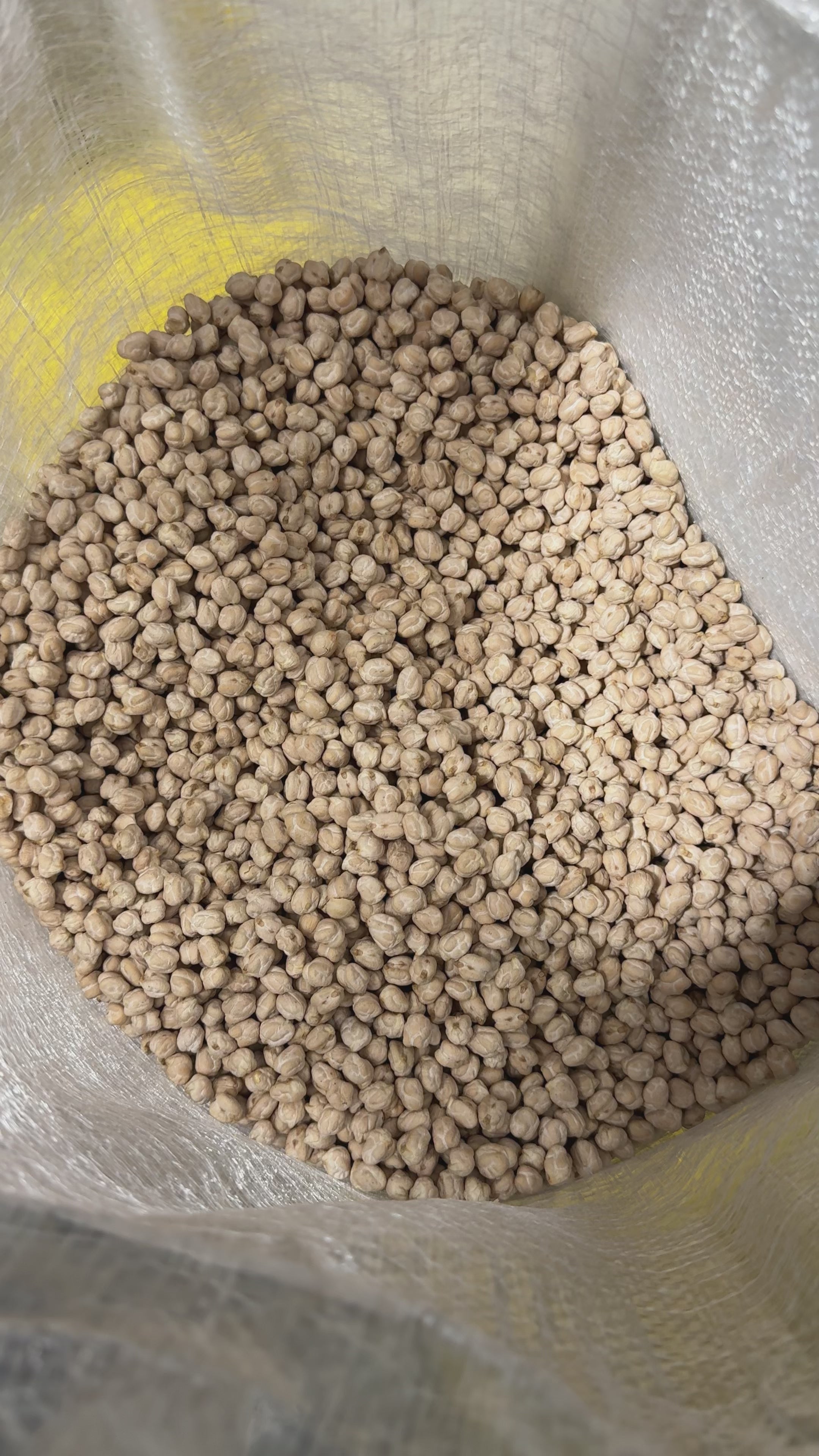 Chickpeas Bulk Bag