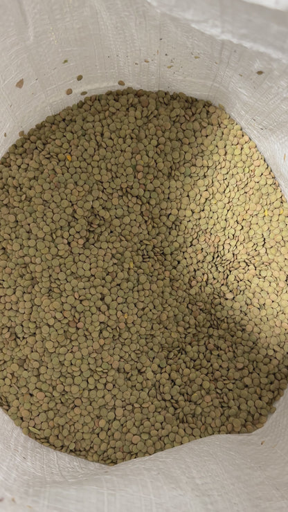 Lentils Bulk Bag